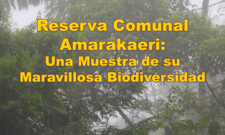 Smithsonian: presenta avance de la investigación científica en la Reserva Comunal Amarakaeri