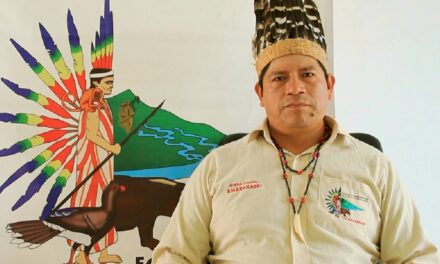 REDD+ Indígena Amazónica: Propuesta de acción climática de los pueblos indígenas