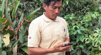 Vigilantes comunales registran plantones de castaña reforestados en CN Puerto Luz