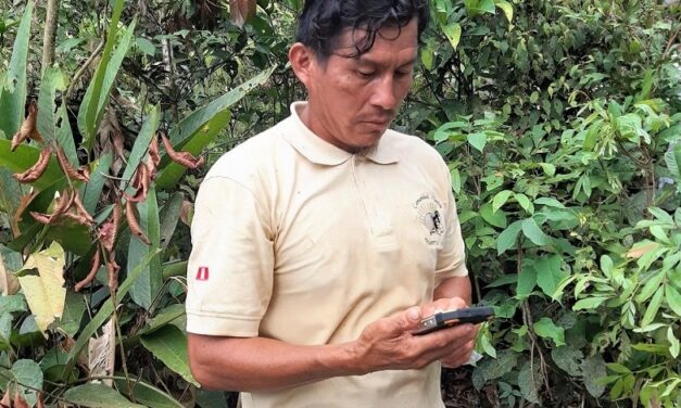 Vigilantes comunales registran plantones de castaña reforestados en CN Puerto Luz