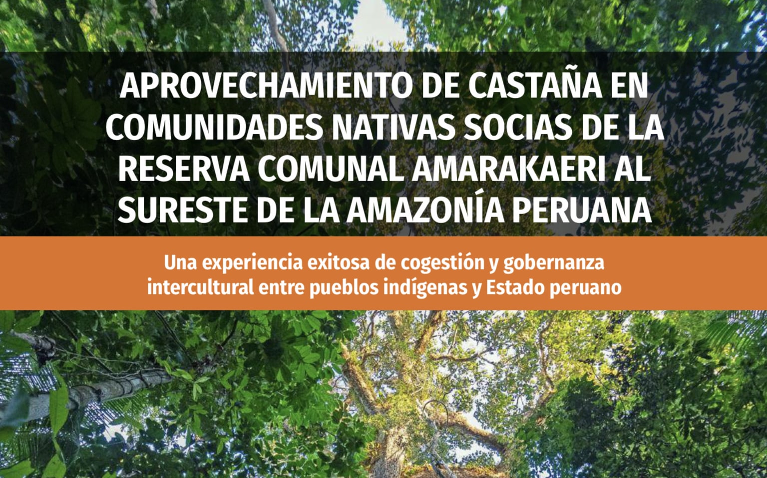 Aprovechamiento de castaña en comunidades nativas socias de la Reserva Comunal Amarakaeri al sureste de la Amazonía peruana