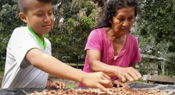 Comuneros lanzan al mercado su marca comercial de castaña Morick´ke Amarakaeri