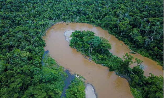 Evaluaciones confirman que ríos están saludables en Amarakaeri