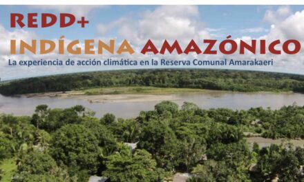 REDD+ Indígena Amazónica
