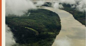 Los servicios ecosistémicos que brinda la Reserva Comunal Amarakaeri