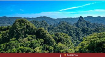 Boletín Amarakaeri Informa 4