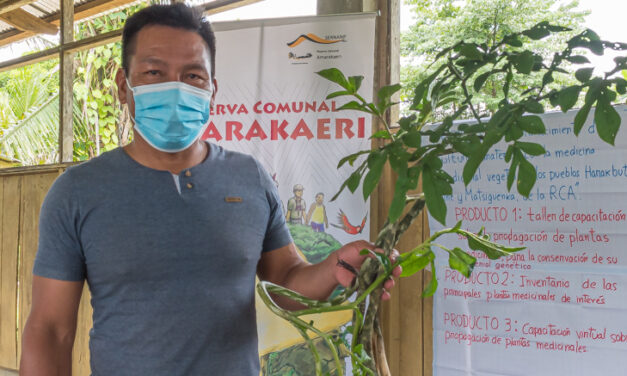 Comunidades de Amarakaeri fortalecerán su cultura inmaterial a través del rescate del conocimiento y saberes de plantas medicinales