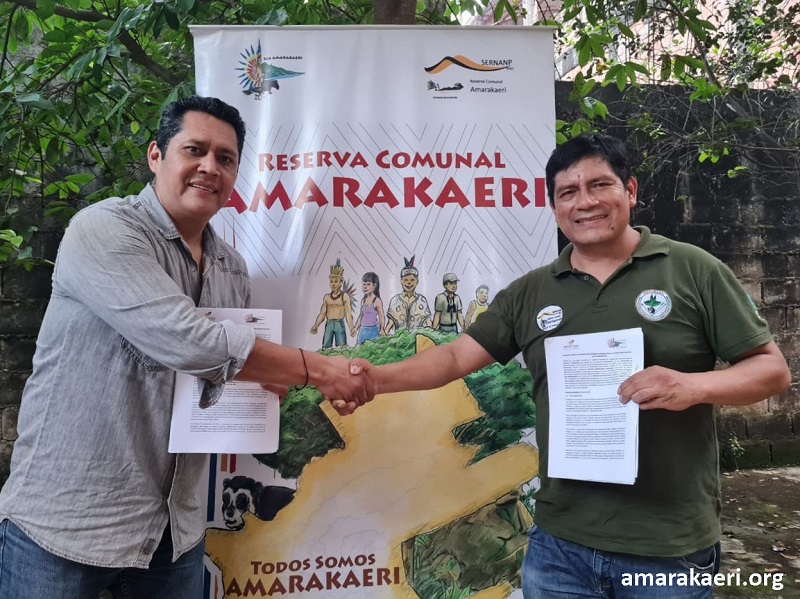 ECA Amarakaeri firma convenio con Manutata SAC para fortalecer el aprovechamiento sostenible de castaña en la RCA