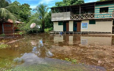 Comunidad nativa Puerto Azul Mberohue exige presencia de autoridades tras inundación