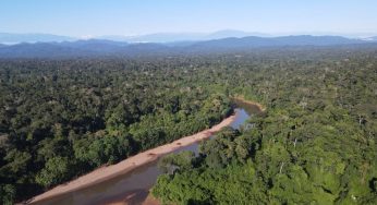 “Thriving Forests” es un programa que busca salvaguardar colectivamente un millón de hectáreas de bosque tropical en todo el mundo.