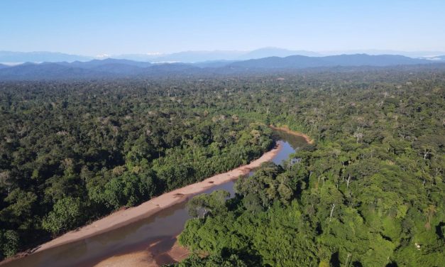 ECA Amarakaeri es la primera organización del Perú en formar parte de un programa de protección forestal a nivel mundial