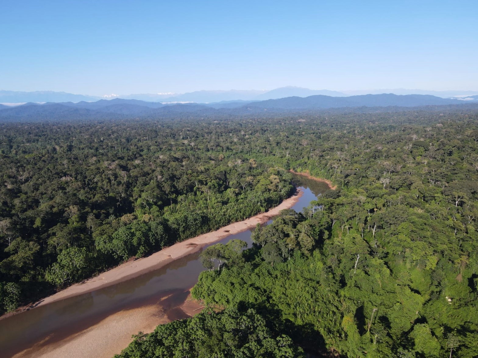 “Thriving Forests” es un programa que busca salvaguardar colectivamente un millón de hectáreas de bosque tropical en todo el mundo.