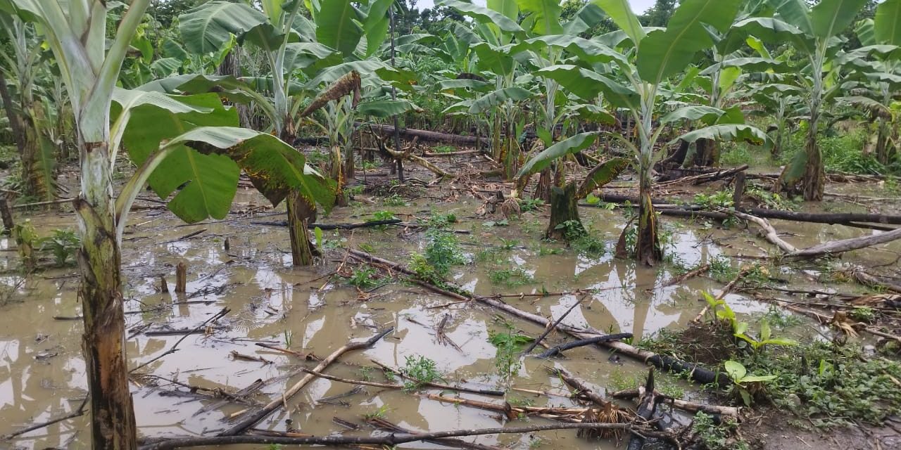 Miembros de la comunidad nativa Shipetiari son afectados por inundación