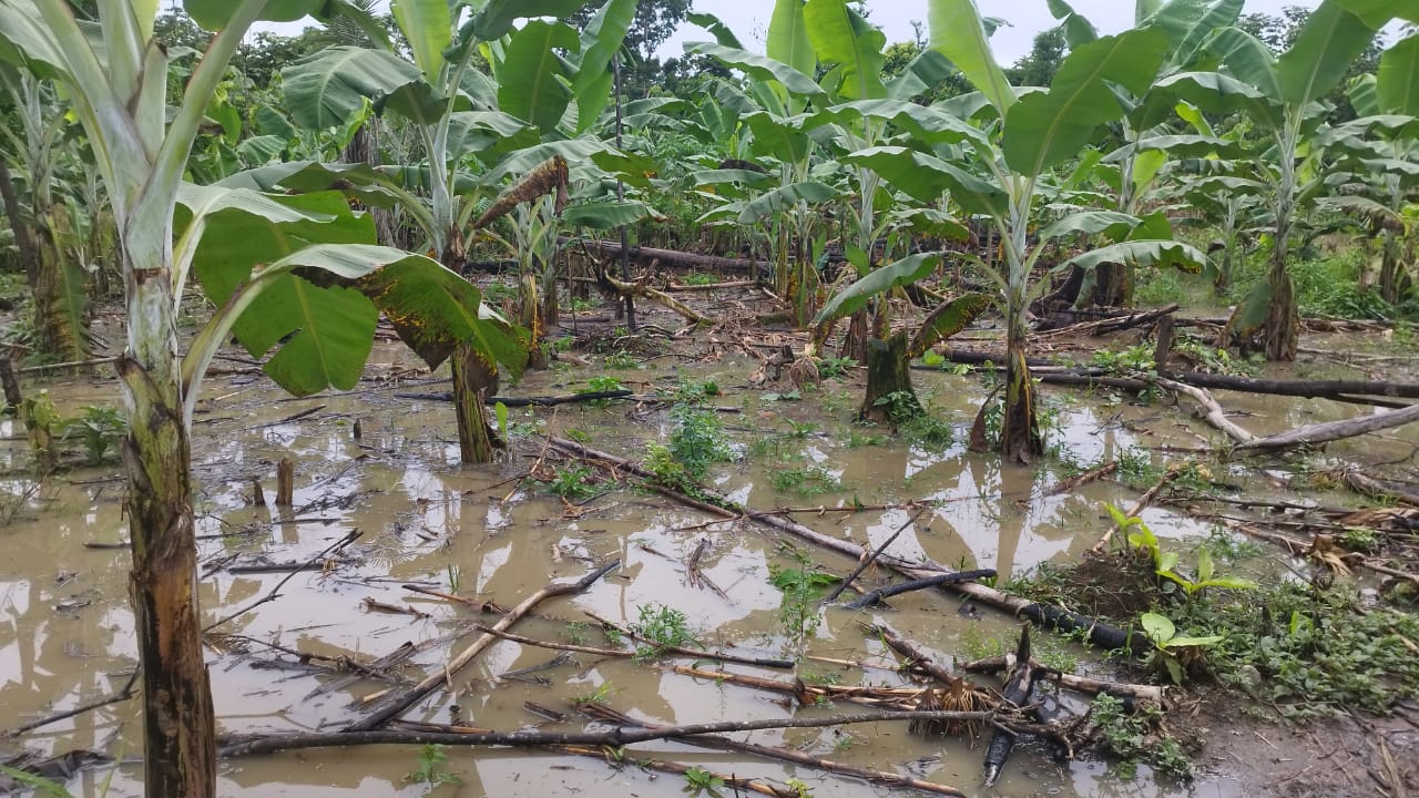 Se estima que alrededor de diez familias han sido afectadas por este desastre natural, perdiendo sus chacras y bienes.