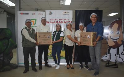 Castaña proveniente de la Reserva Comunal Amarakaeri se exportará por primera vez al mercado de la India